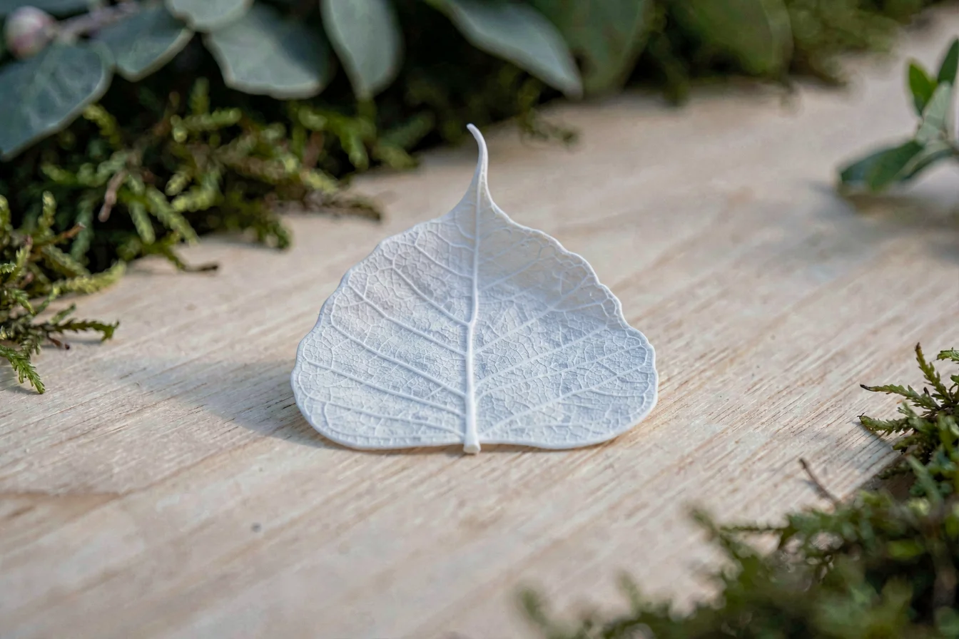 Premium skeleton leaves