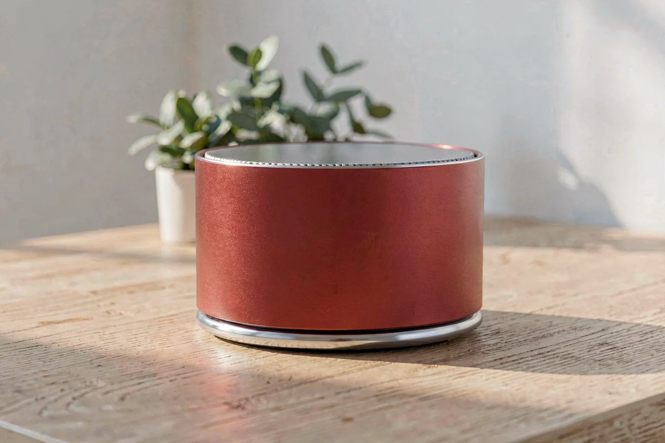 Premium Digital Speaker vs. Smart Speaker