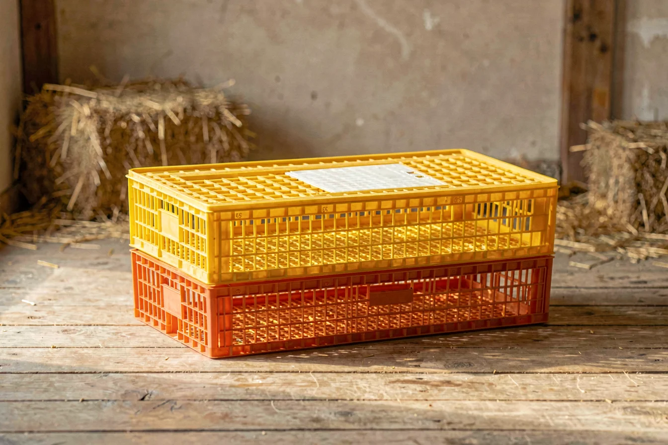 Heavy-duty chicken crates