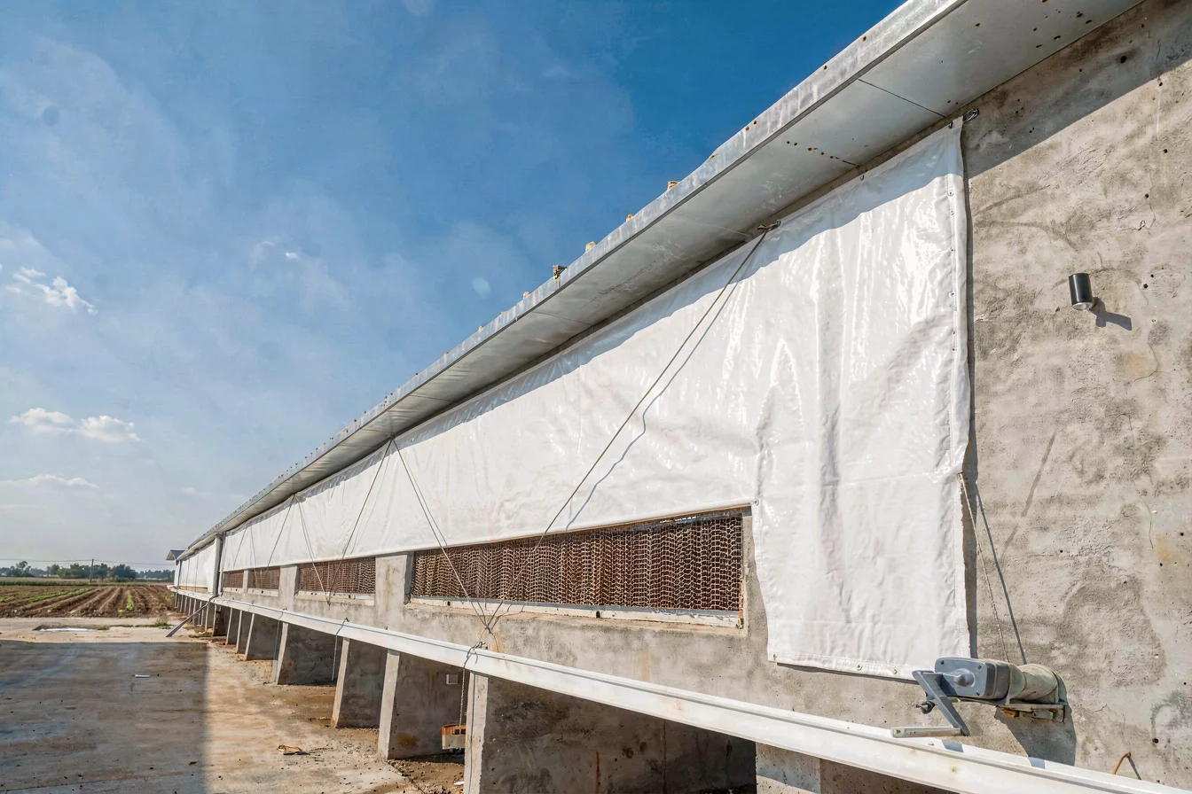 Insulated poultry curtains