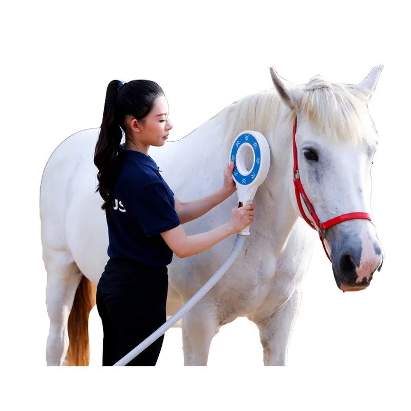 5 Tesla PMST Magnetic Therapy for Equine