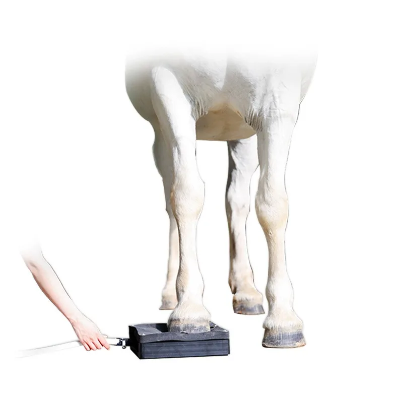 PMST LOOP for Equine Ankel Magnetic therapy Machine