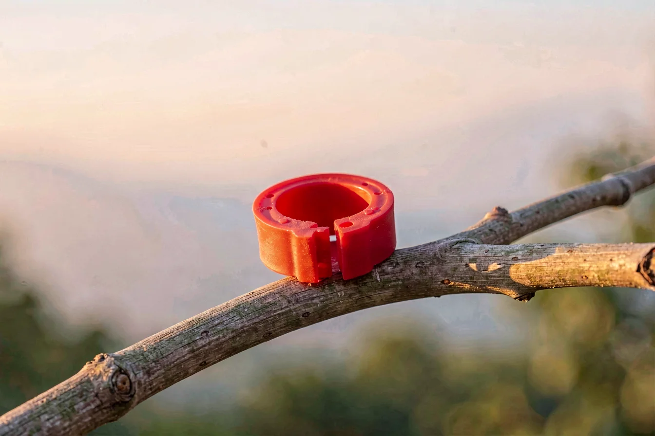 Customized personalized pigeon bands