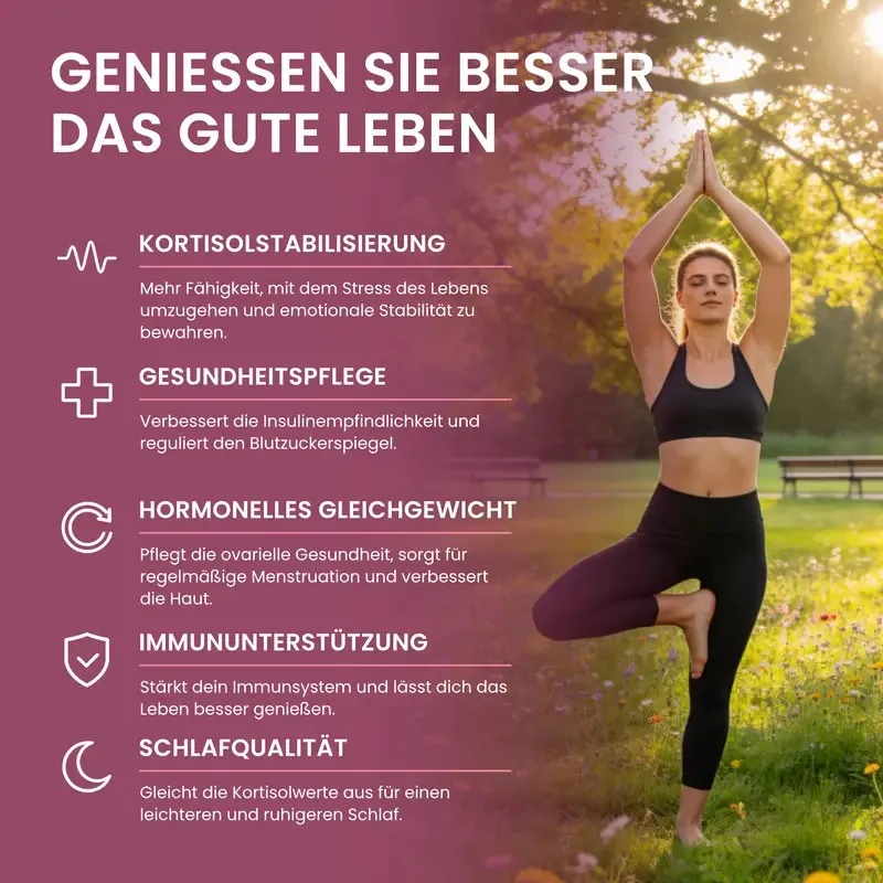 WindBoss Cortisol Balance Lifestyle