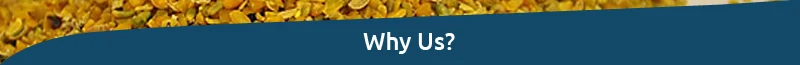 Why-Us.jpg