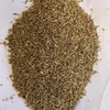 High quality 100% pure cumin seeds in bulk for sale