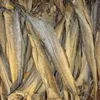 /product-detail/norway-cod-stock-fish-available-62015427422.html