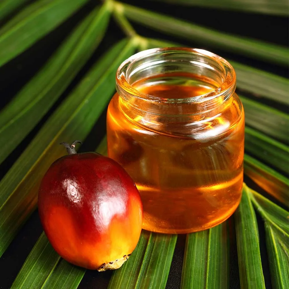 pure crude palm oil for sale