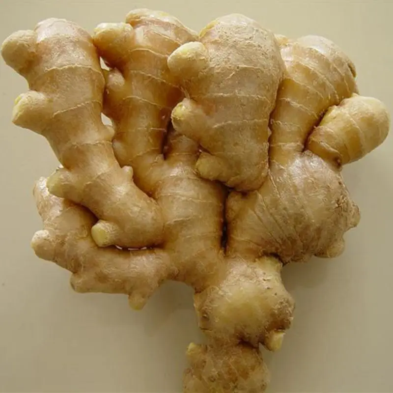 Имбирь продал. Имбирь продал. Имбирь ашан. Имбирь 0. Имбирь продал.