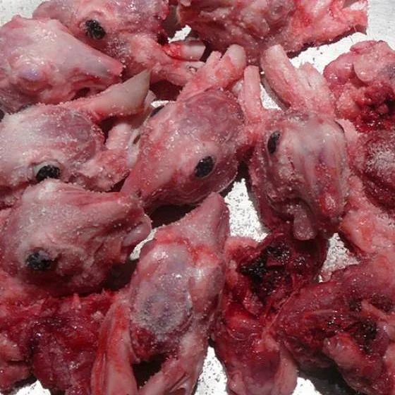 
Frozen Whole Rabbit Meat / Frozen Rabbit Meat and Part 