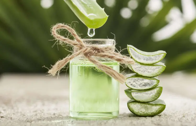 oem新鲜芦荟汁饮料配芒果生产厂家1.5升