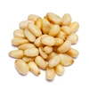 Chinese Pine Nut!! BEST OFFER