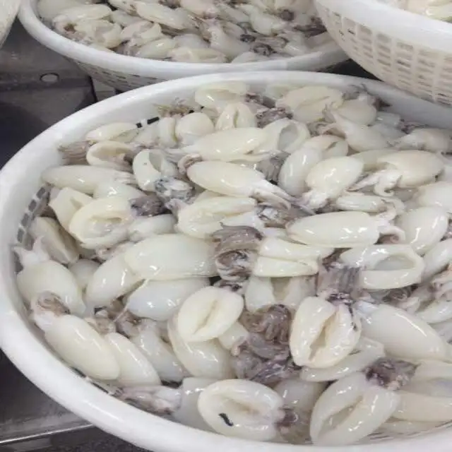 
BEST PRICE FROZEN WHOLE CLEANED CUTTLEFISH IN VIET NAM 