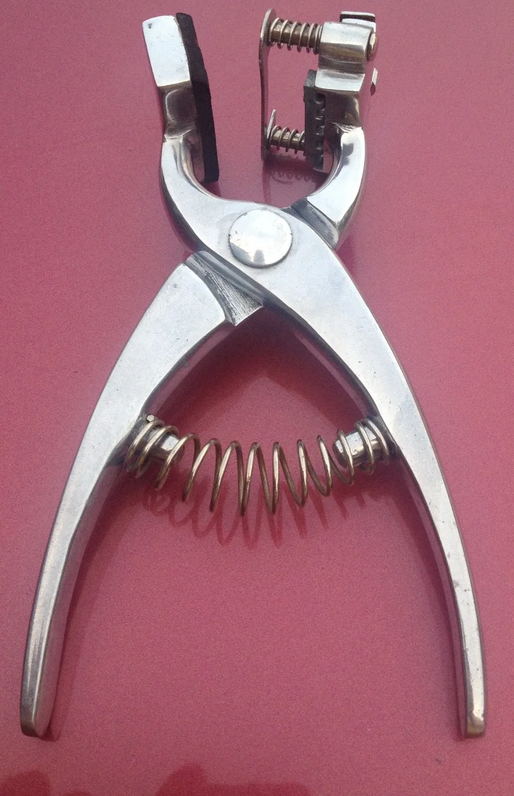 Tatooing Forceps Plier with Numbers Letters and Ink - China Tattooing  Forceps, Tattoo Plier | Made-in-China.com