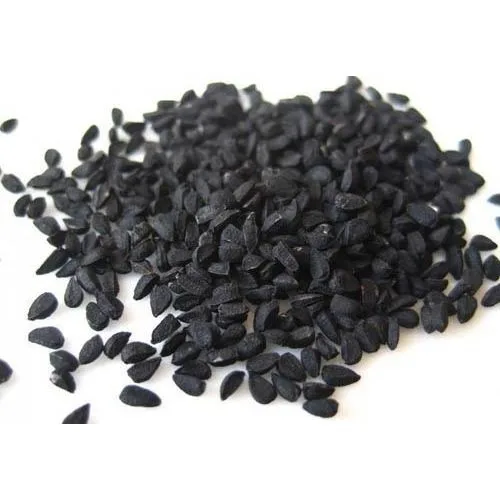 
Nigella Sativa - BEST QUALITY, BEST PRICES (SPICES LAND FOR EXPORT) 