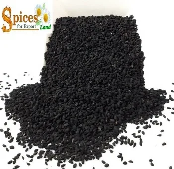 
Nigella Sativa - BEST QUALITY, BEST PRICES (SPICES LAND FOR EXPORT) 