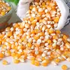 High Quality Top Grade Dried Yellow Corn
