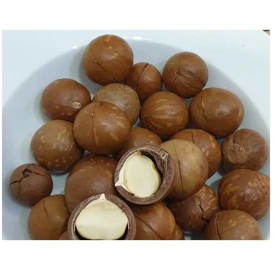 
Premium quality organic Common dried Macadamia from Daklands brand and made in Vietnam 
