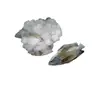 Tilapia Fish Scale Skin Collagen - Tilapia/ Seabass/ Snakehead Fish dried scale high collagen extract