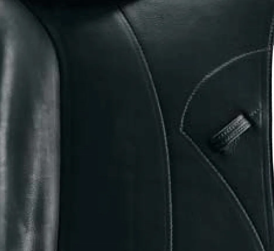 
Amerigo dressage Saddle 