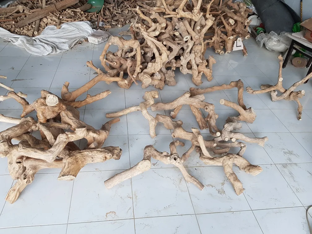 Reptile Terrarium Wooden Dish Climbing Javawood Branches For Basking