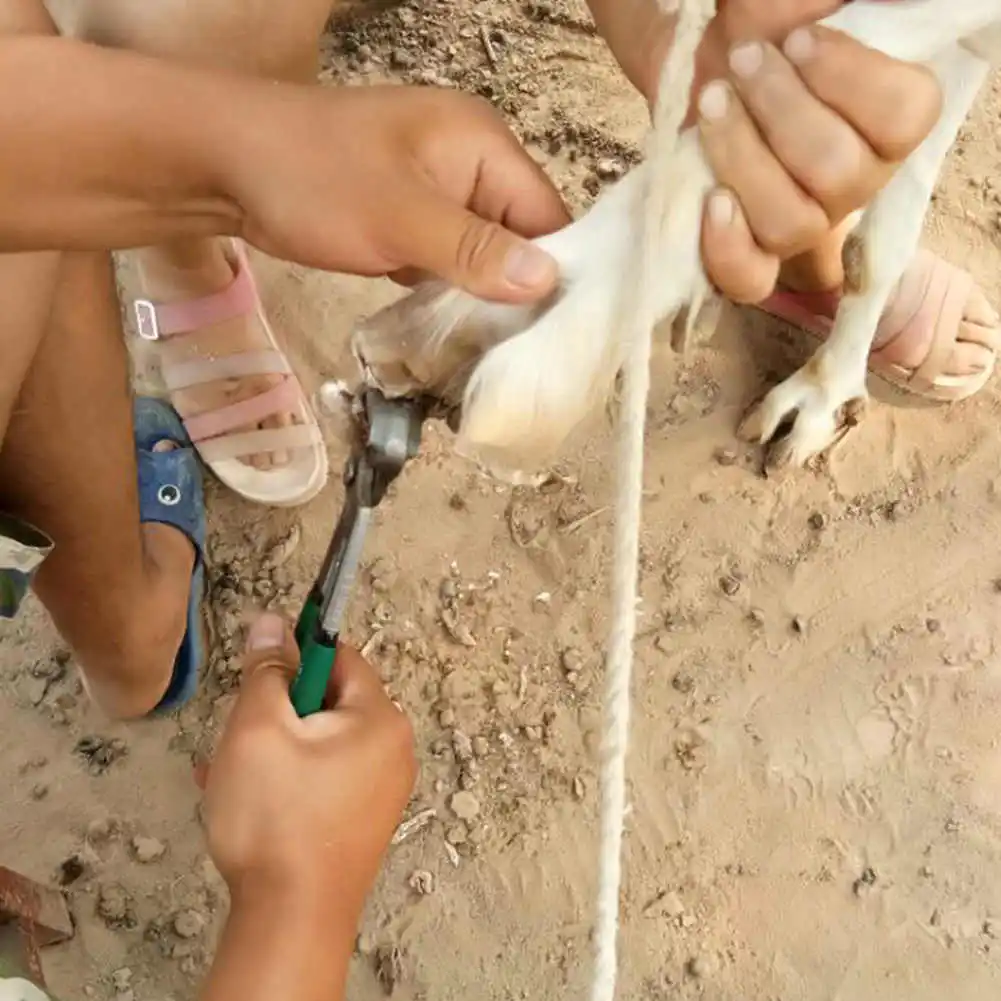 Cattle Horse Cow Hoof Clippers Repair Hoof Scissors Nonslip Grips