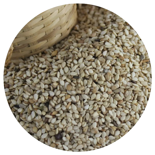 Sesame+Seeds.png
