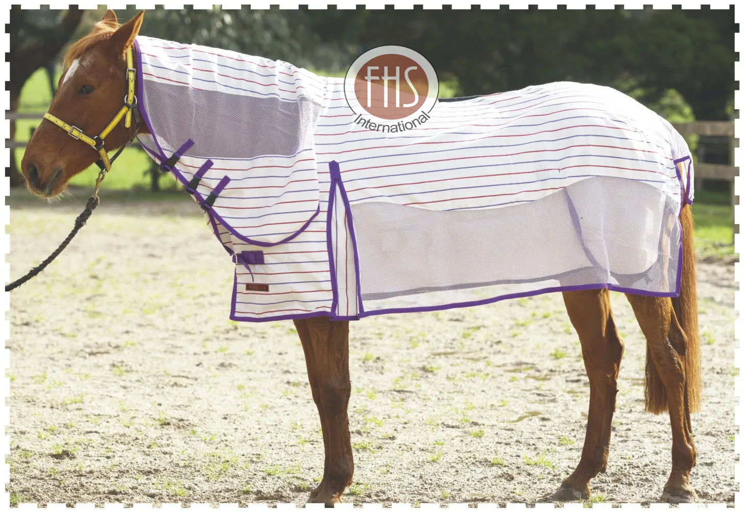 Burgundy And Purple Poly Cotton Strip Ribstop Summer Horse Combo Mesh