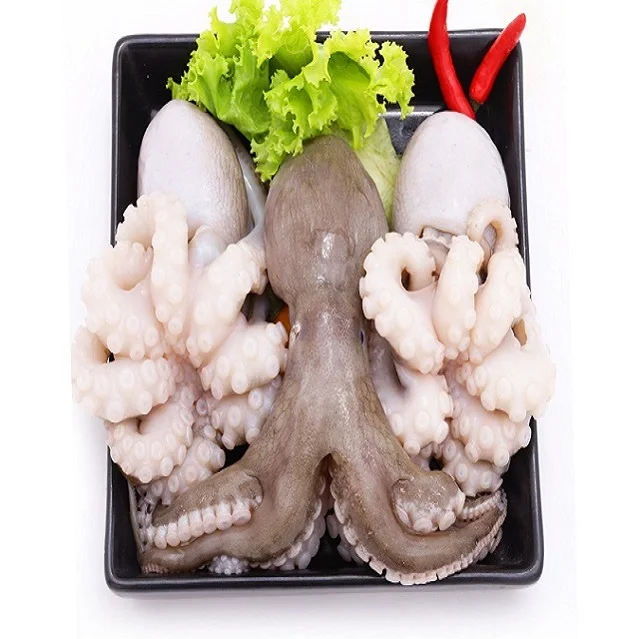 
Best Quality New Stock IQF whole round frozen baby octopus from Vietnam 