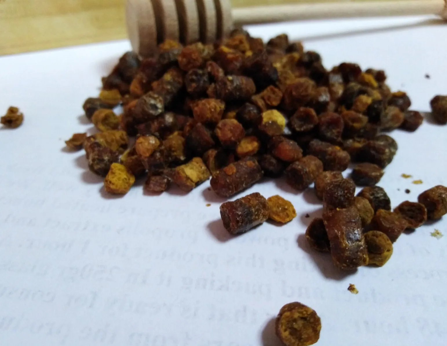 
BEE BREAD-PERGA 
