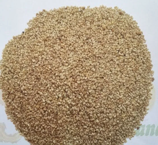 
Golden Sesame Seeds Natural Sesame Seeds 99 % Purity 2020 