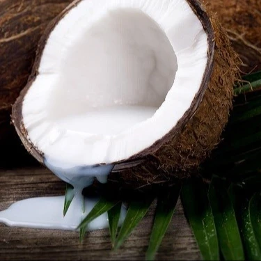 Coconut Milk 400 Ml Buy Canned Coconut Milk Organic Coconut Milk Coconut Milk Thailand Product On Alibaba Com