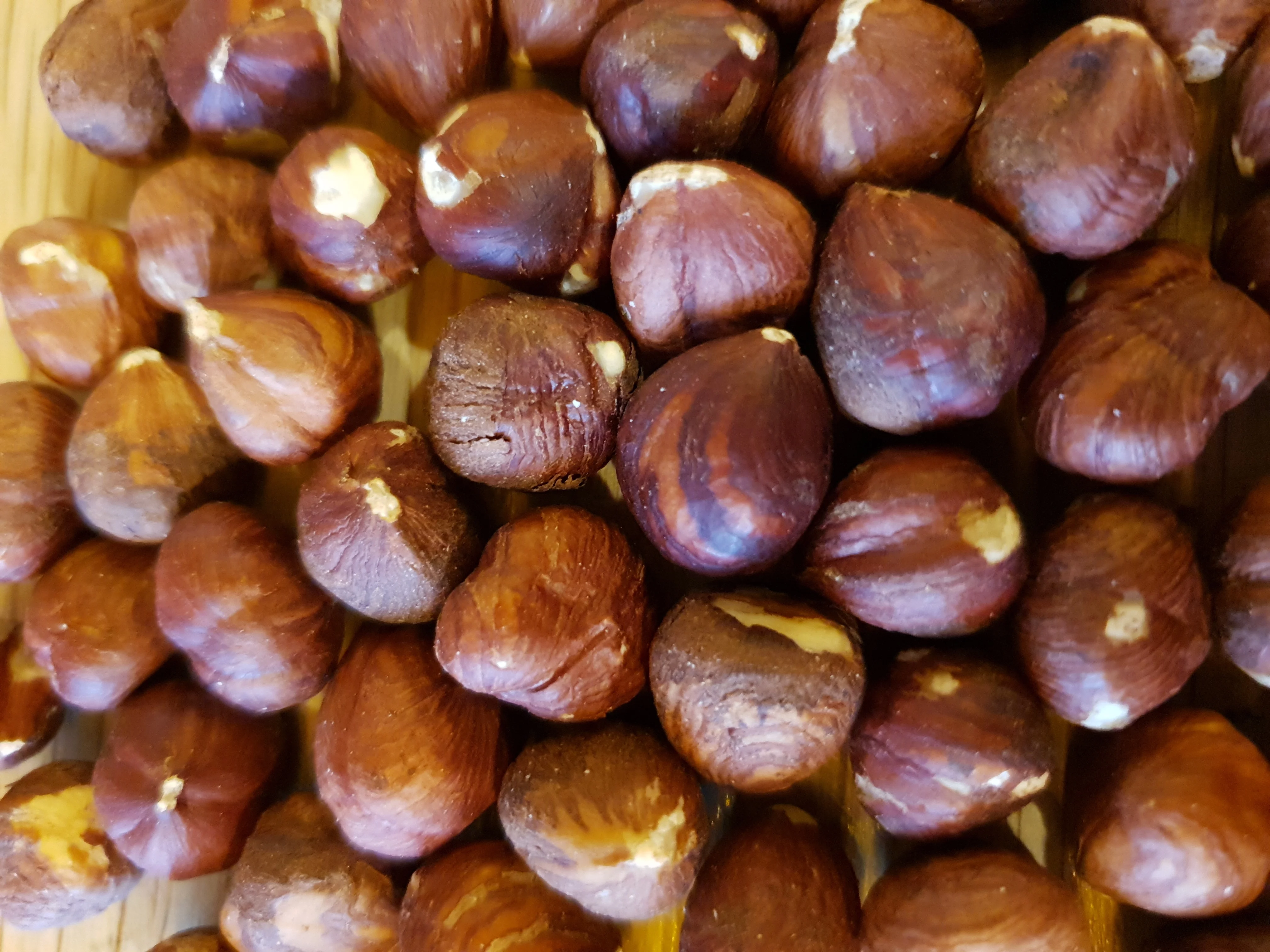 
Natural Hazelnut Turkish , Organic , High Quality , Premium Selected 