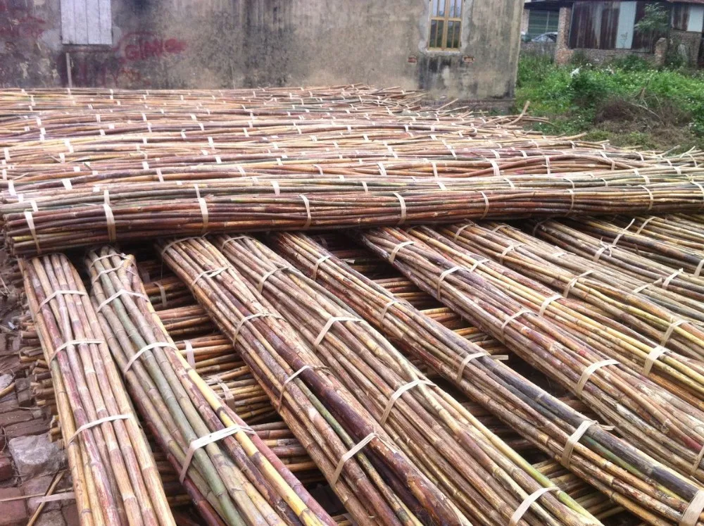 Raw Rattan Cane/ Rattan Cut Pole/100 Nature Dry Straight Rattan Bamboo Pole For Sale