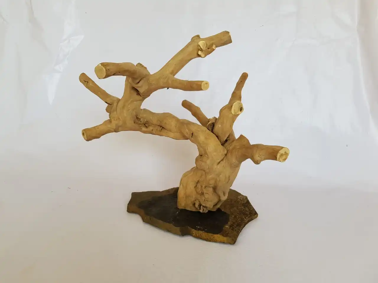 Java Wood Reptile Slate Base Terrarium Wooden Climbing Wood Branches