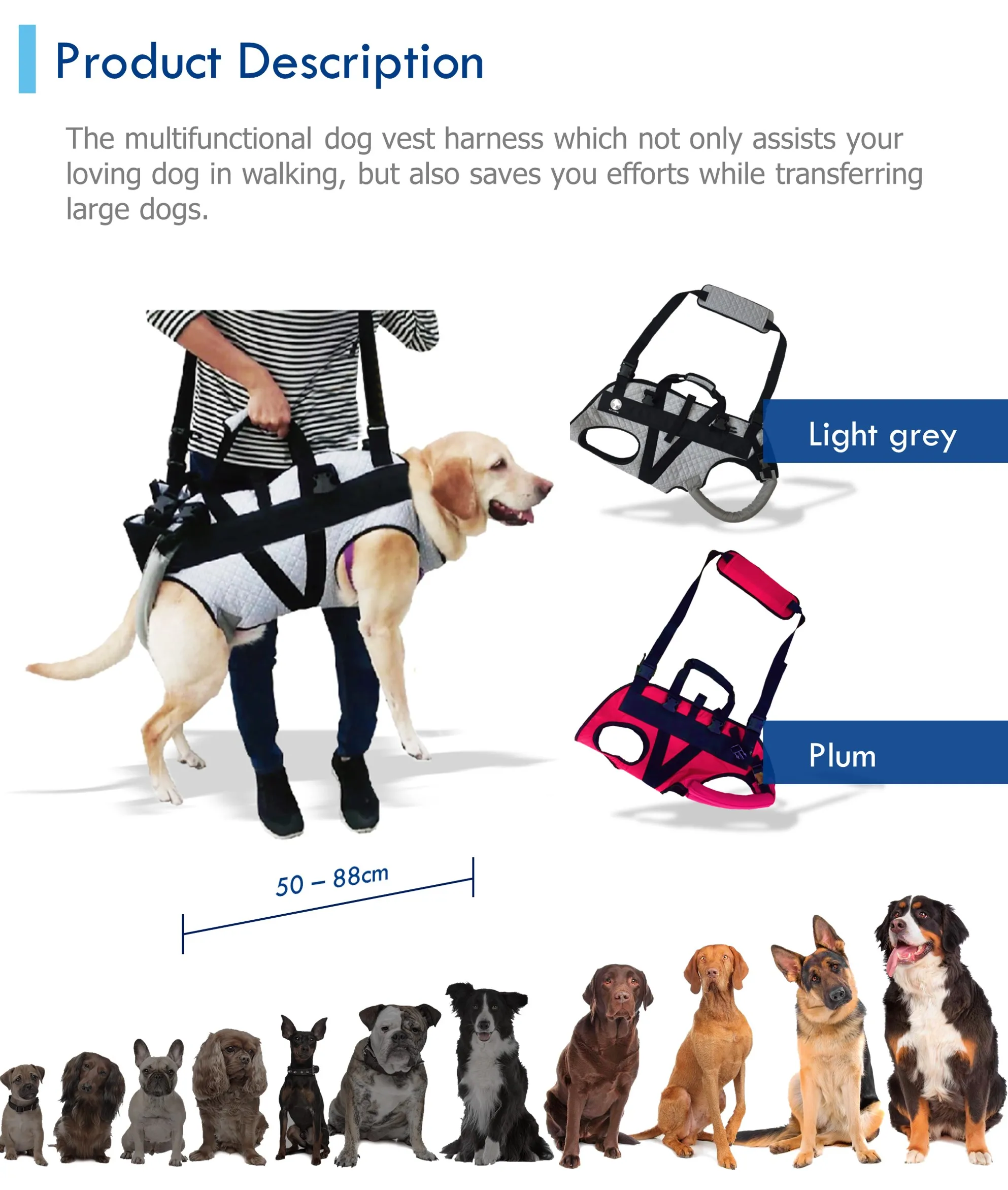 Ajudar A Apoiar A Velha E Doente Dog Walking Aids Auxiliar Tamanho L