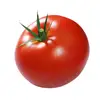 Best Quality Fresh Tomatoes.... Great Prices... Fast Shipping!!!