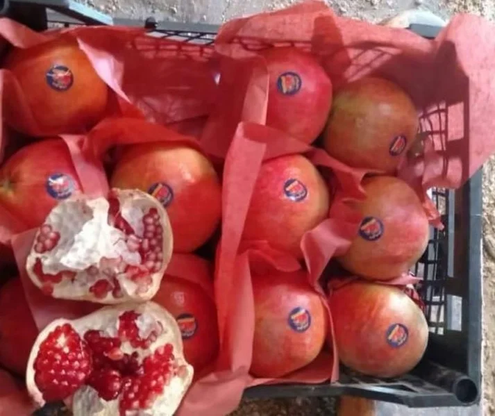 
CHEAP FRESH POMEGRANATES 