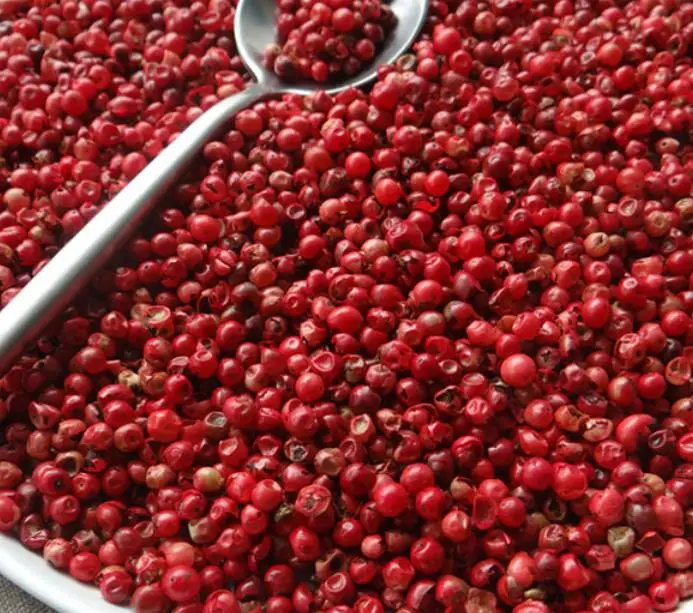 pink pepper whole - schinus terebinthifolius!000))