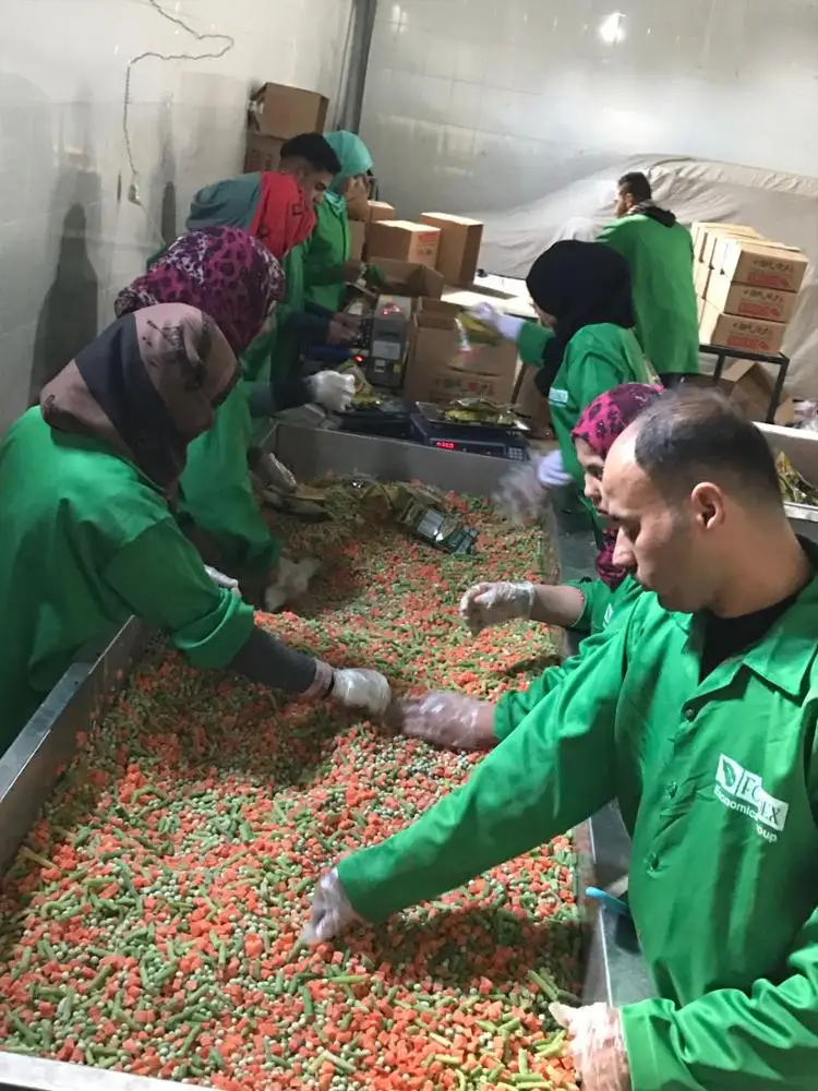 
Egyptian frozen mixed vegetables class one 