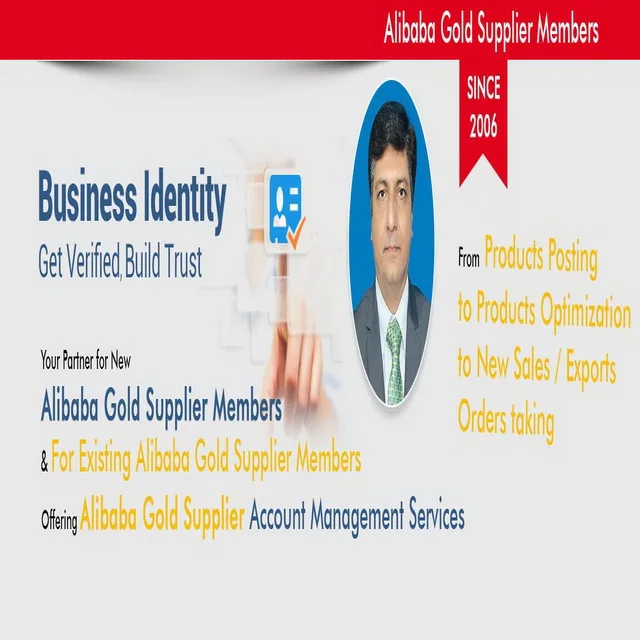 
business services / top ranking / optimization 