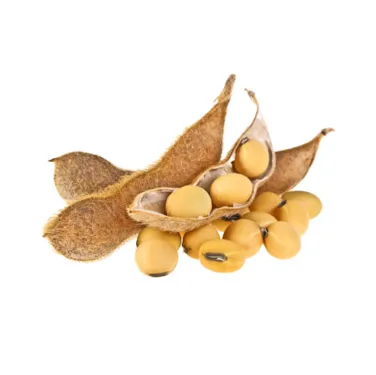 
Wholesale organic soybeans, cheap prices 