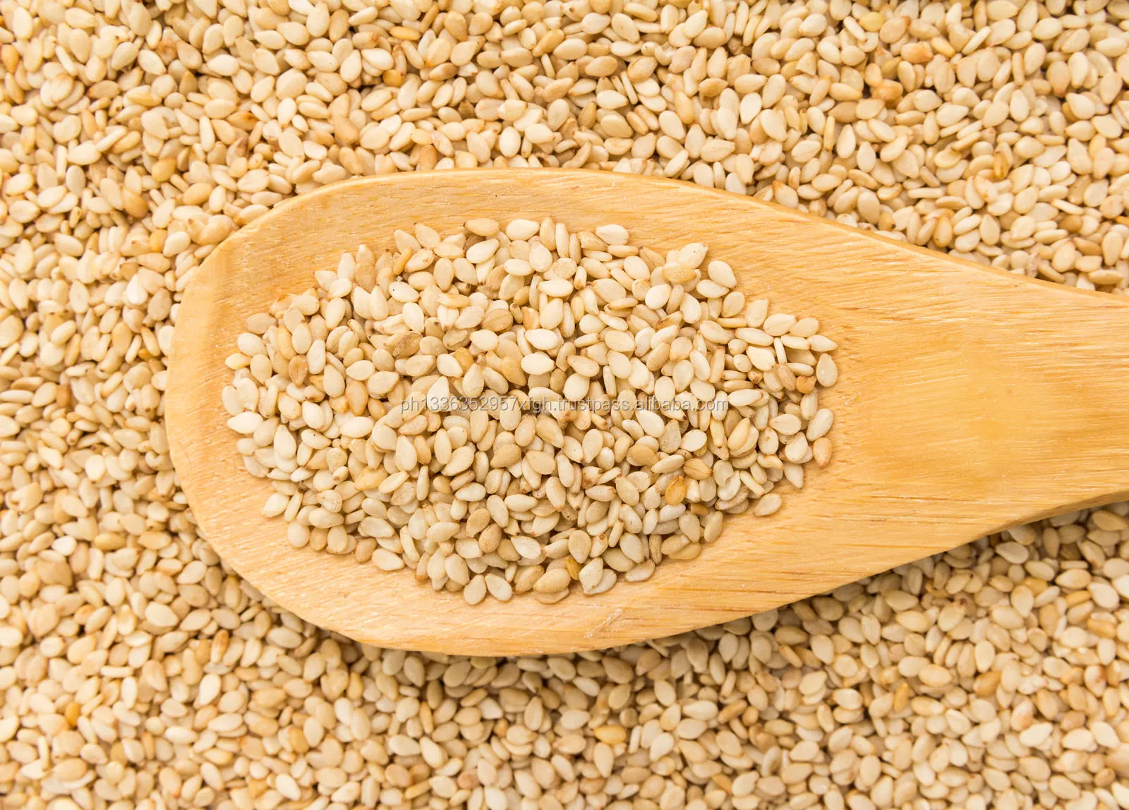 high quality natural sesame seed