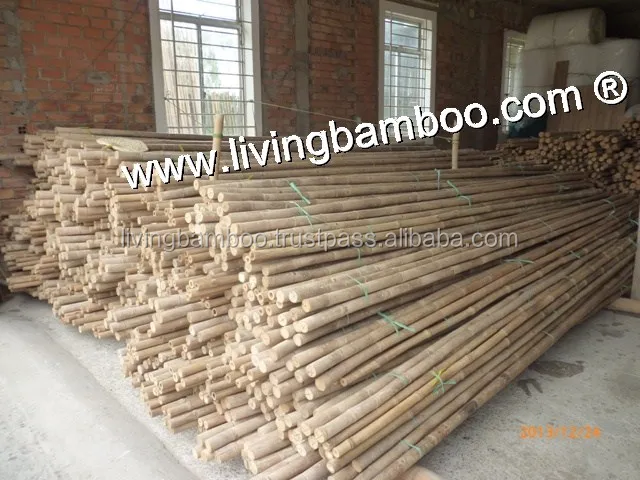 Bamboo Poles.jpg