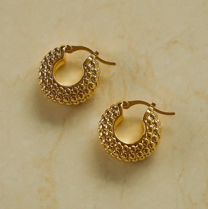 

Unique Textured Hoop Earrings Mini Cassandra Hoop Earrings 18K Gold Plated Stainless Steel Earrings, Gold,rose gold,black and silver