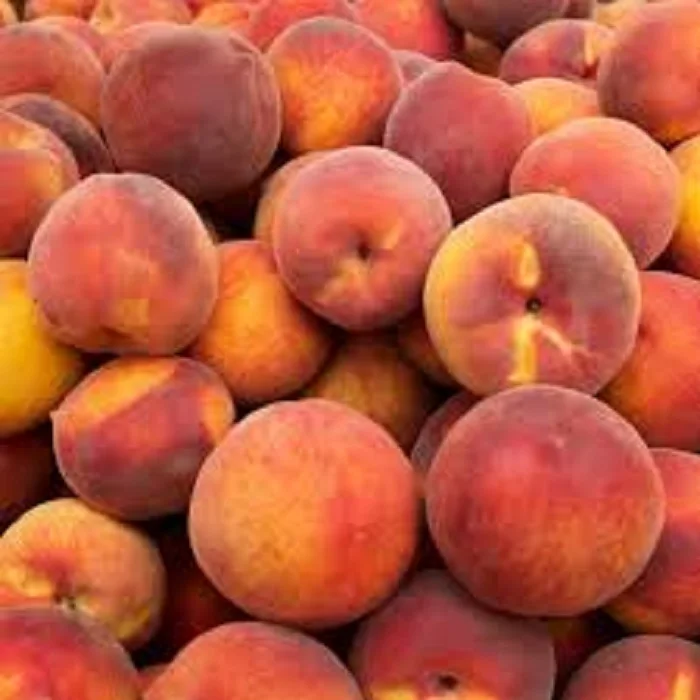 
quality Fresh Sweet Peaches Ready For Export  (1600169085294)