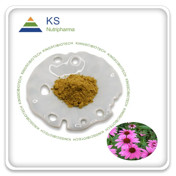 
Echinacea plant extract organic echinacea extract echinacea herb p.e. 2%~7%HPLC/UV 