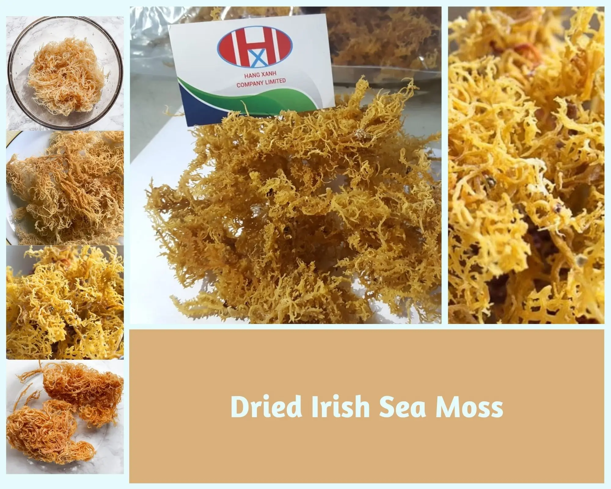 Vietnam Seamoss/ Irish Moss/eucheuma Cottonii / Whatsapp 84348545435 Buy Irish Moss Seaweed