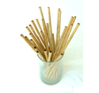 

Coconut Palm Leaf Drinking Straw | Natural and Handmade