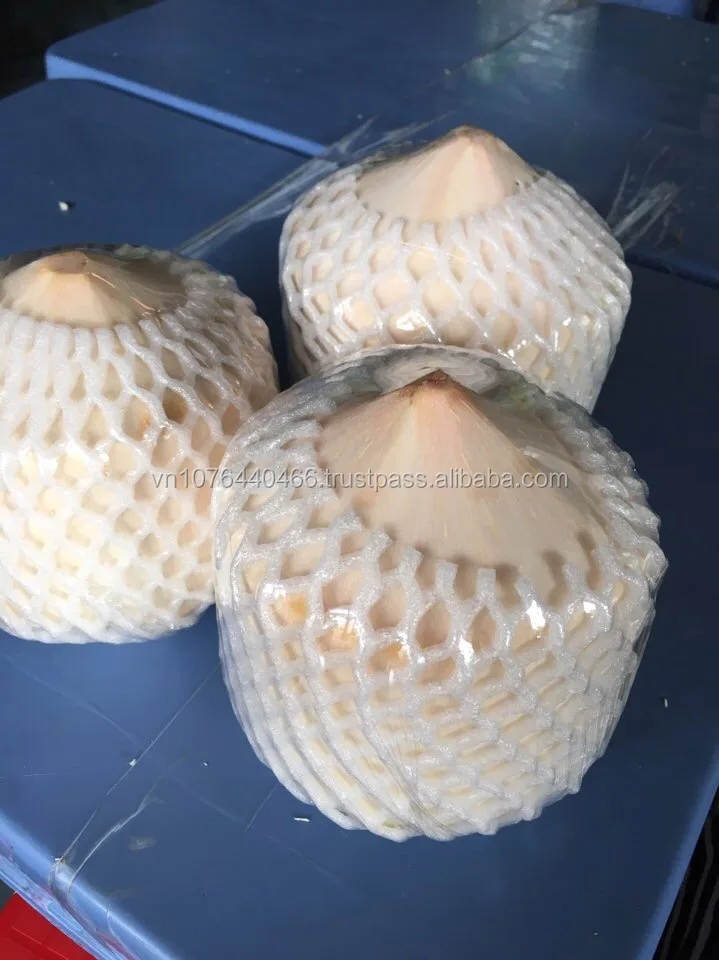 fresh young coconut (4).jpeg